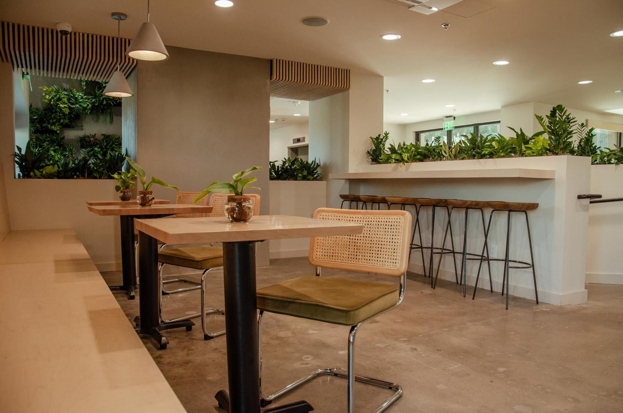 Brut Hotel