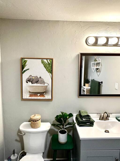Apartment Boho Near Tu/dt/cherry St/expo Center Tulsa
