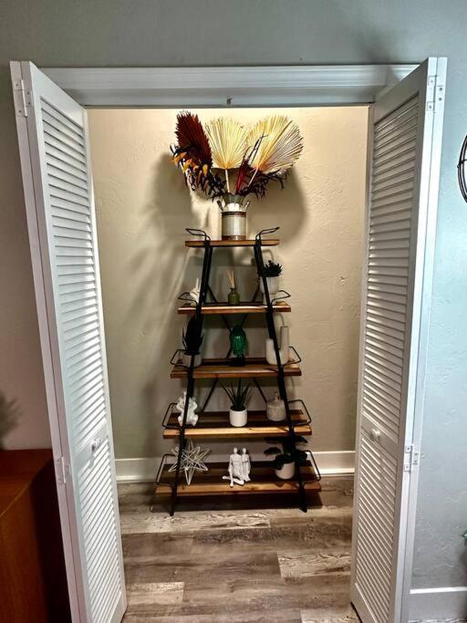 Apartment Boho Near Tu/dt/cherry St/expo Center Tulsa