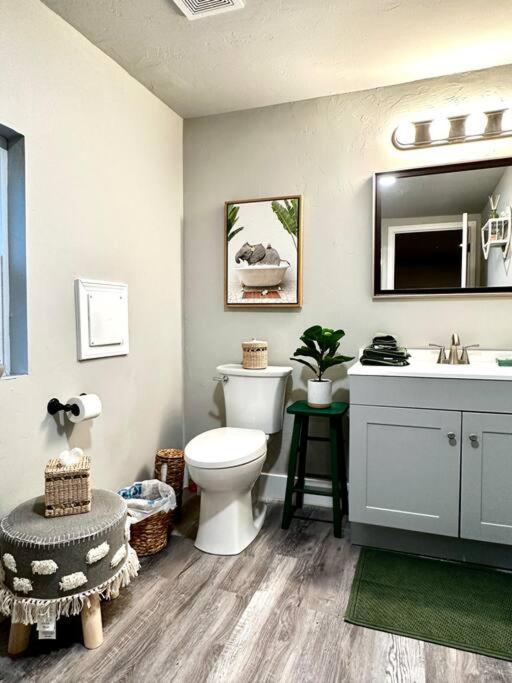 Apartment Boho Near Tu/dt/cherry St/expo Center Tulsa