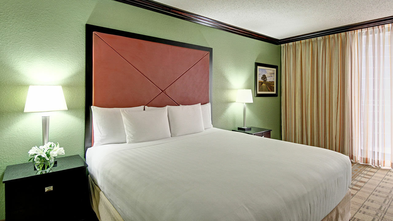 Hyatt Regency Downtown Hotel 3*