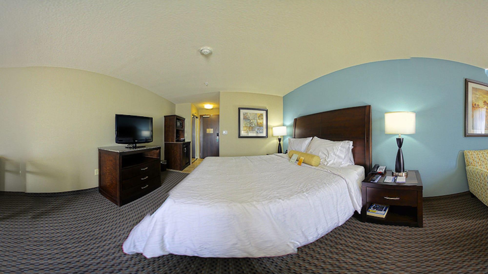 Hilton Garden Midtown 3*