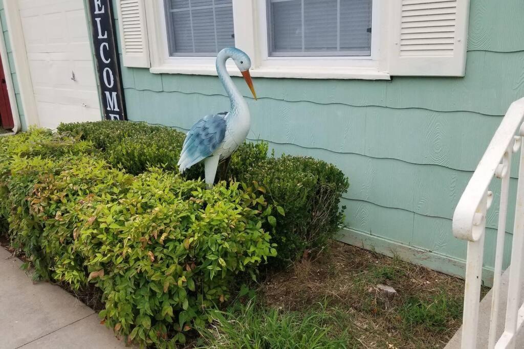 Blue Flamingo's Charming Home-heart Of Tulsa2- Cherry St-expo-11th Holiday home Tulsa