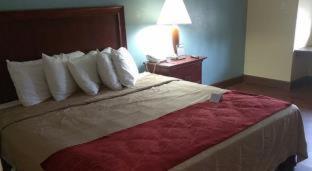 Expo Hotel