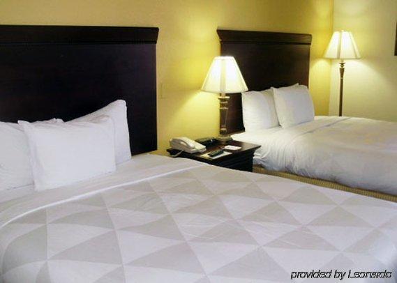 Hotel Clarion International Airport